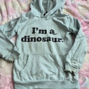 Kids Dinosaur Hoodie - Gray
